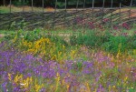 043_001221liten