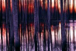 047_001221liten