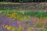 043_001221liten
