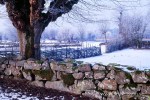 074_001221