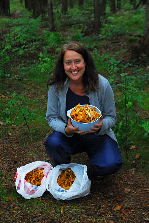 Berith i svampskogen