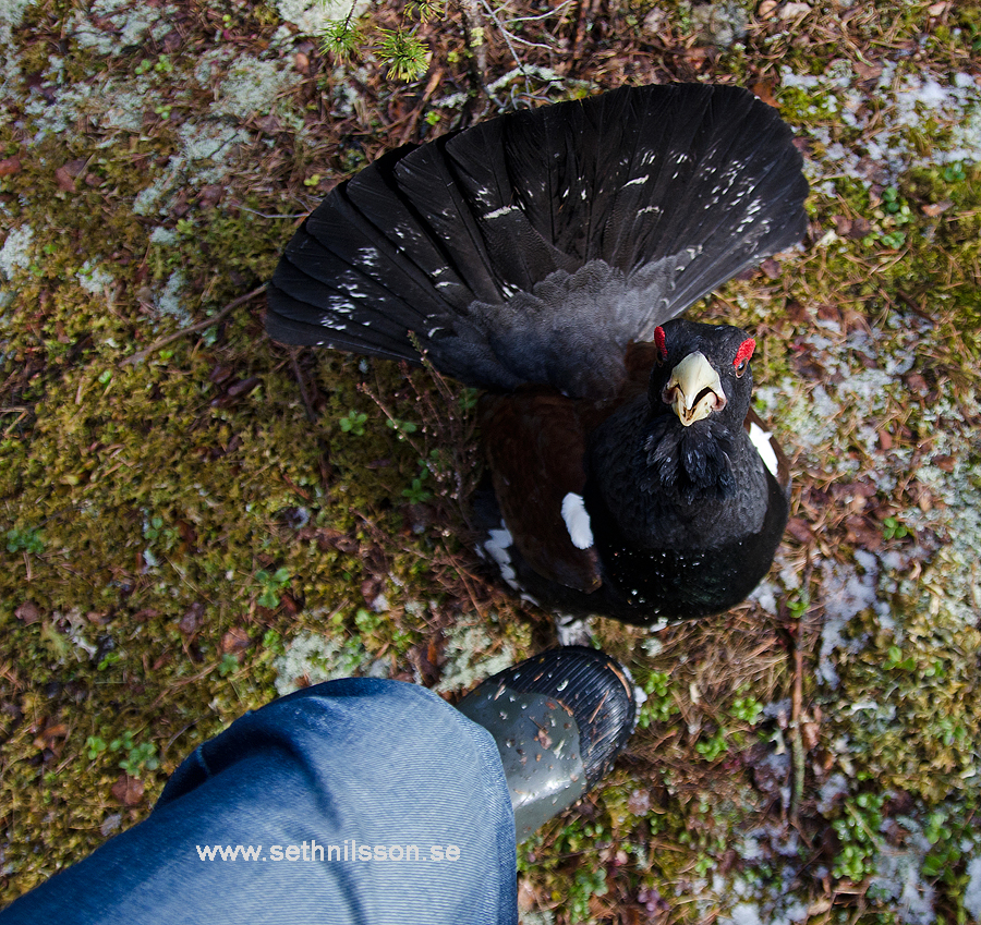 2014 05 01_8151redhemsida